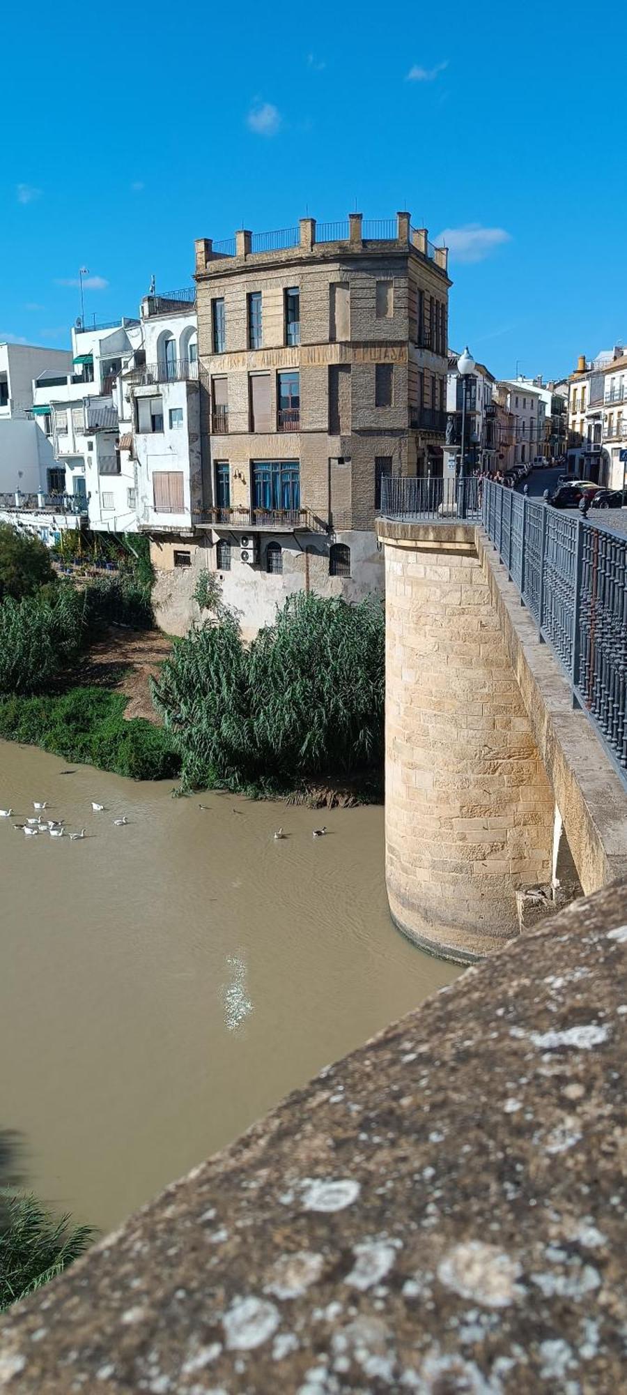 El Patio De La Cris Appartement Puente Genil Buitenkant foto